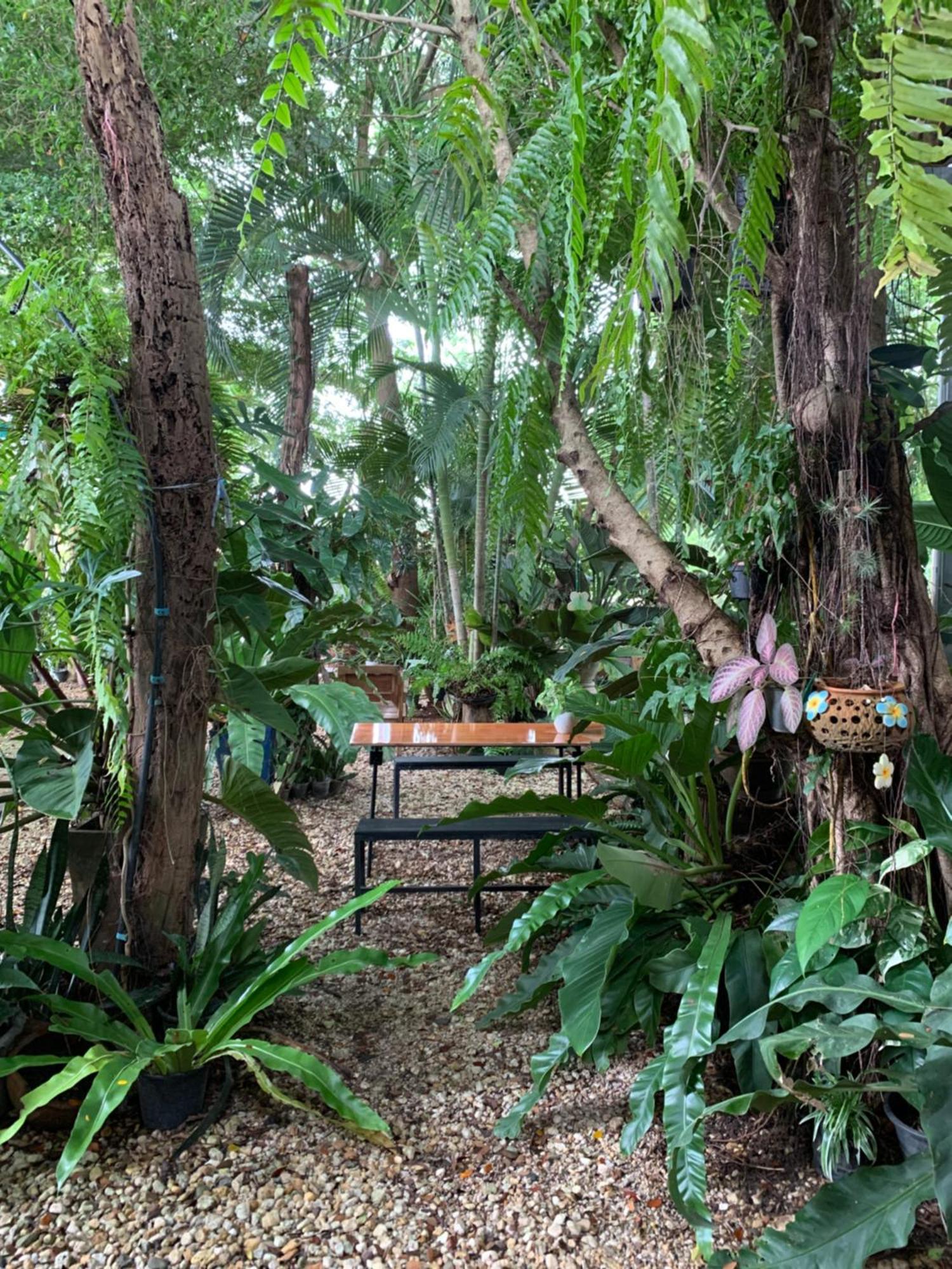 Baan Suan Duang Porn Resort Ban Phae  Εξωτερικό φωτογραφία