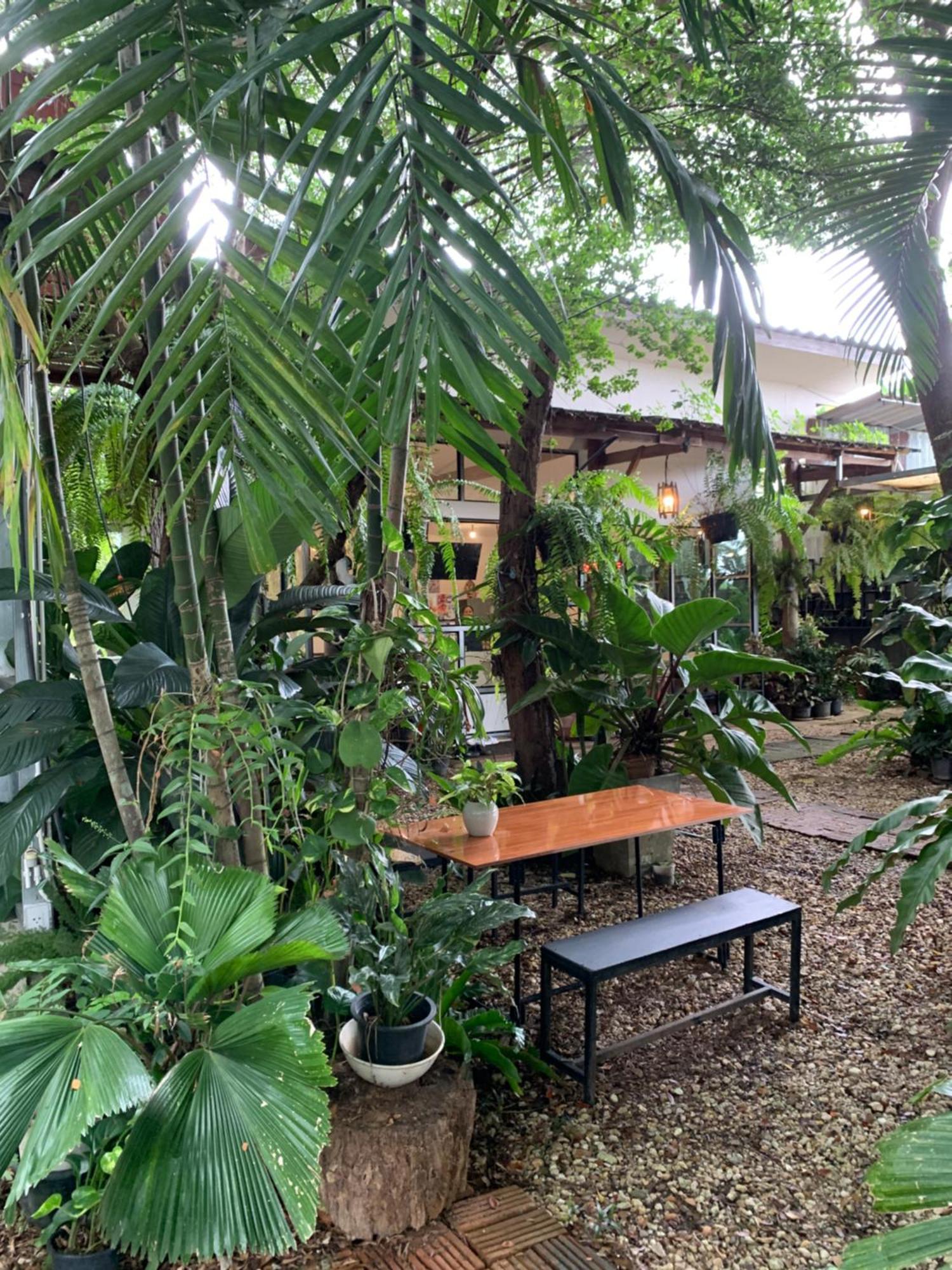 Baan Suan Duang Porn Resort Ban Phae  Εξωτερικό φωτογραφία