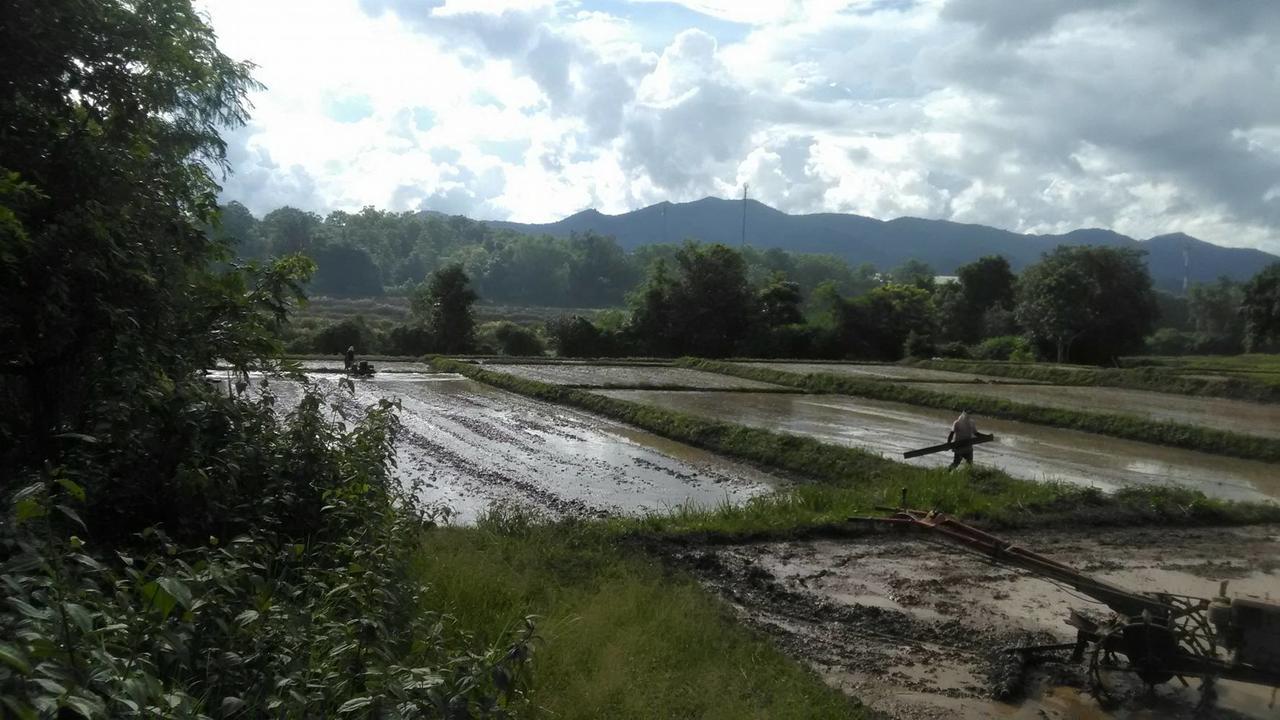 Baan Suan Duang Porn Resort Ban Phae  Εξωτερικό φωτογραφία